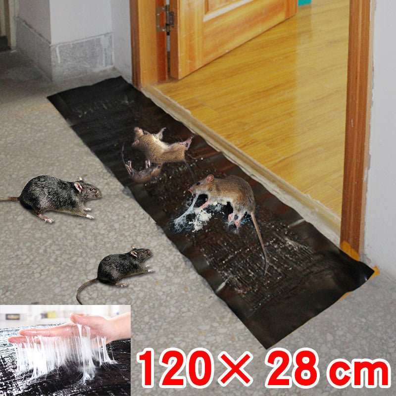 Large Glue Boards for Rodents and Insects with Non-Toxic Adhesive, 10-Pack