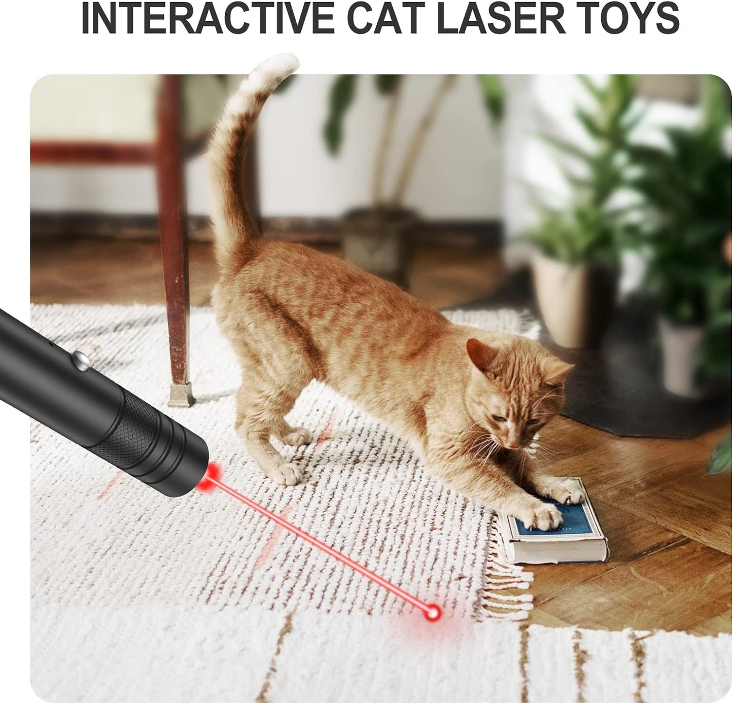 Rechargeable Green Laser Pointer with Rotating Star Cap and 2000 Foot Range