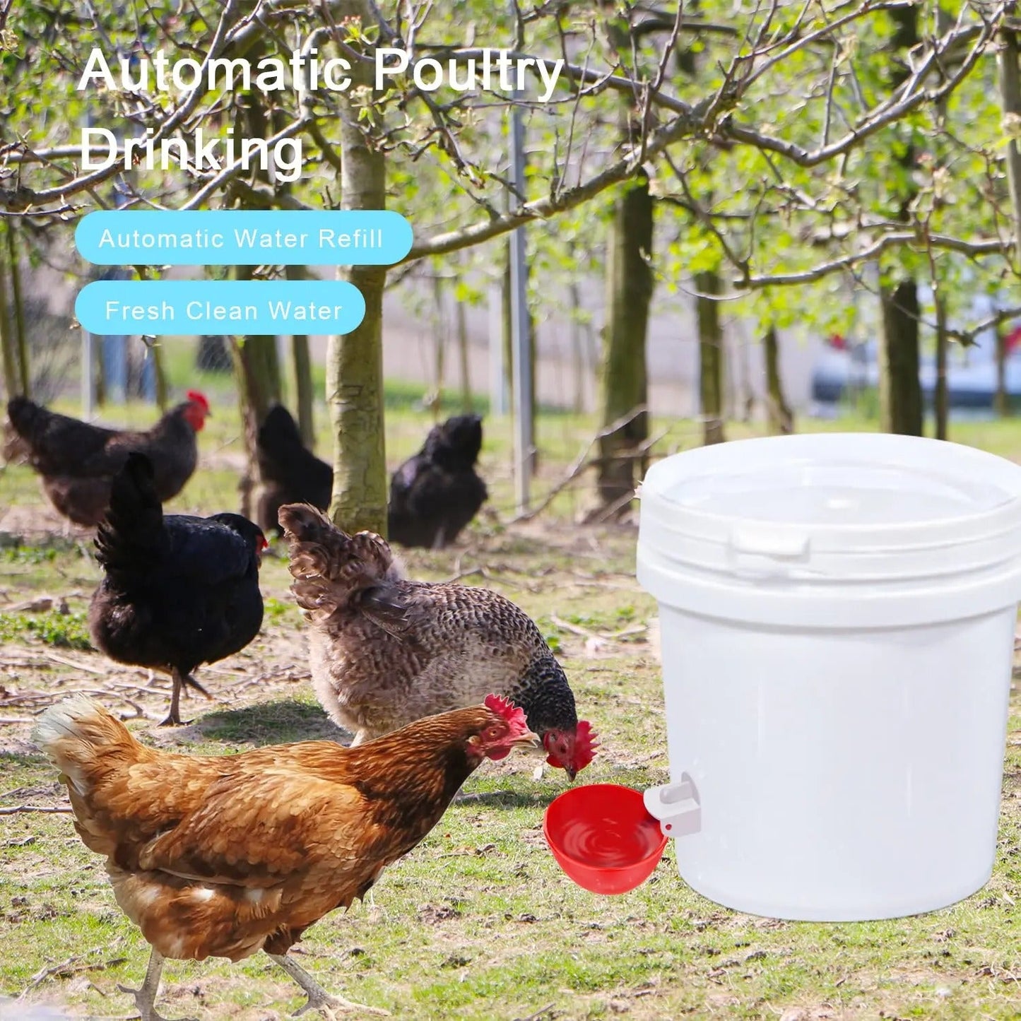 Gravity Fed Chicken Waterer Cups with Spring Valve and Dual Seals, 10 Pack