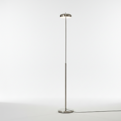 Curvilinear Silver Floor Lamp