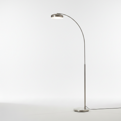 Curvilinear Silver Floor Lamp