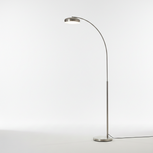 Curvilinear Silver Floor Lamp
