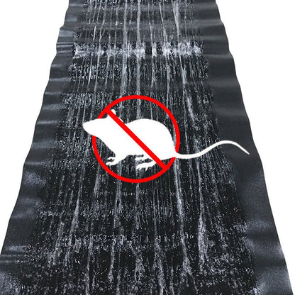 Large Glue Boards for Rodents and Insects with Non-Toxic Adhesive, 10-Pack