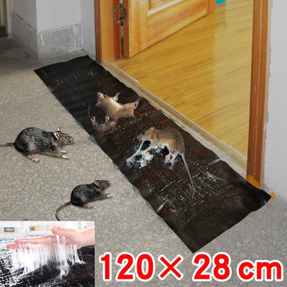 Large Glue Boards for Rodents and Insects with Non-Toxic Adhesive, 10-Pack