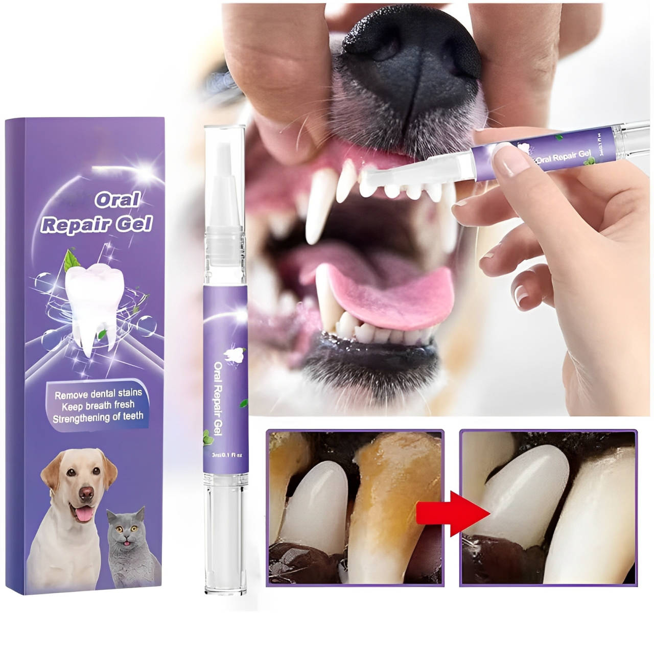Dog Dental Gel with Enzyme Formula and Botanical Extracts, 3-Pack