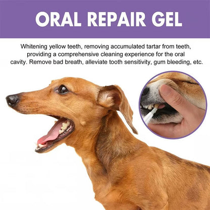 Dog Dental Gel with Enzyme Formula and Botanical Extracts, 3-Pack