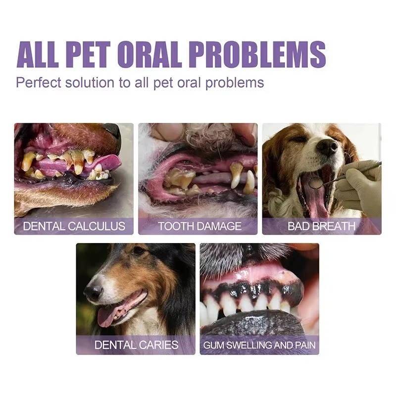 Dog Dental Gel with Enzyme Formula and Botanical Extracts, 3-Pack