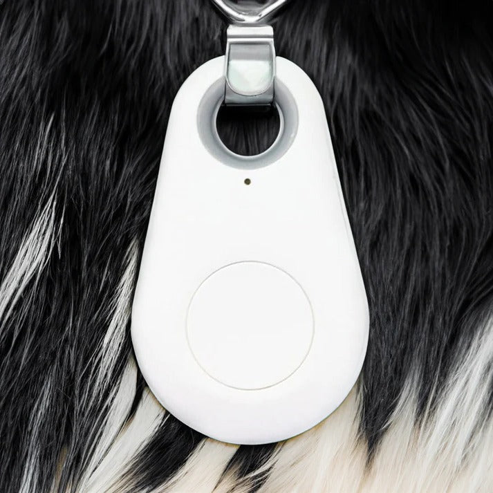 Wireless Pet Tracker with 33ft Range and Waterproof Design, 6-Month Battery
