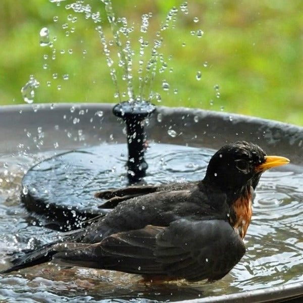 Solar Floating Water Pump with Four Nozzle Attachments for Birdbaths and Ponds