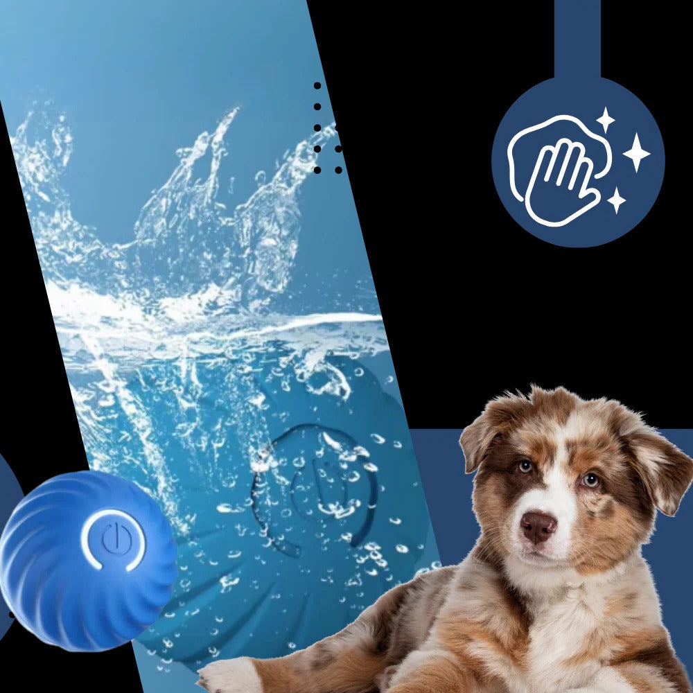 Self Rolling Dog Ball with Obstacle Avoidance and Rechargeable Battery
