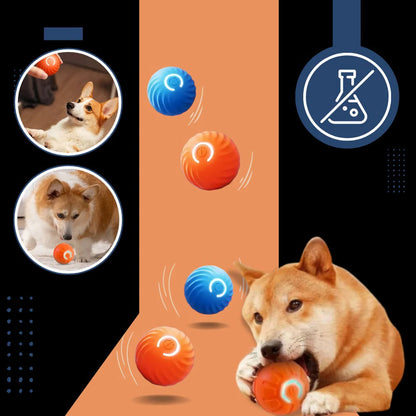 Self Rolling Dog Ball with Obstacle Avoidance and Rechargeable Battery