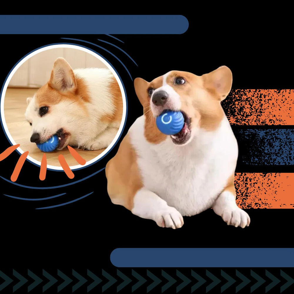 Self Rolling Dog Ball with Obstacle Avoidance and Rechargeable Battery