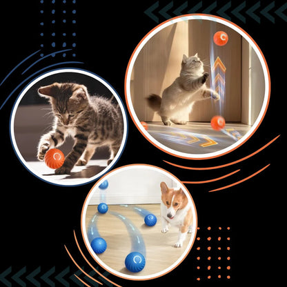 Self Rolling Dog Ball with Obstacle Avoidance and Rechargeable Battery