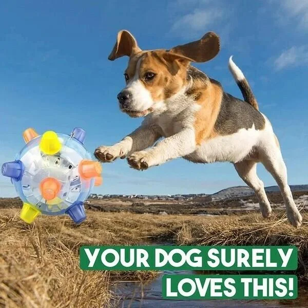 Interactive Jumping Ball for Dogs with LED Lights and Sound Activation