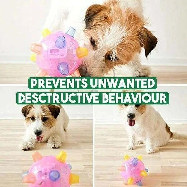 Interactive Jumping Ball for Dogs with LED Lights and Sound Activation
