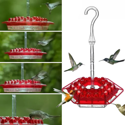 Hummingbird Feeder with Water Ant Moat and Bee-Resistant Ports, 12oz Capacity