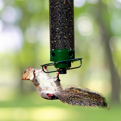 Rotating Perch Bird Feeder with Spinning Weight-Activated Gate and 5lb Capacity