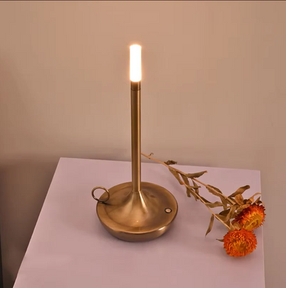 Rechargeable Table Lamp with Touch Dimmer and Warm LED Light, Portable USB Charging