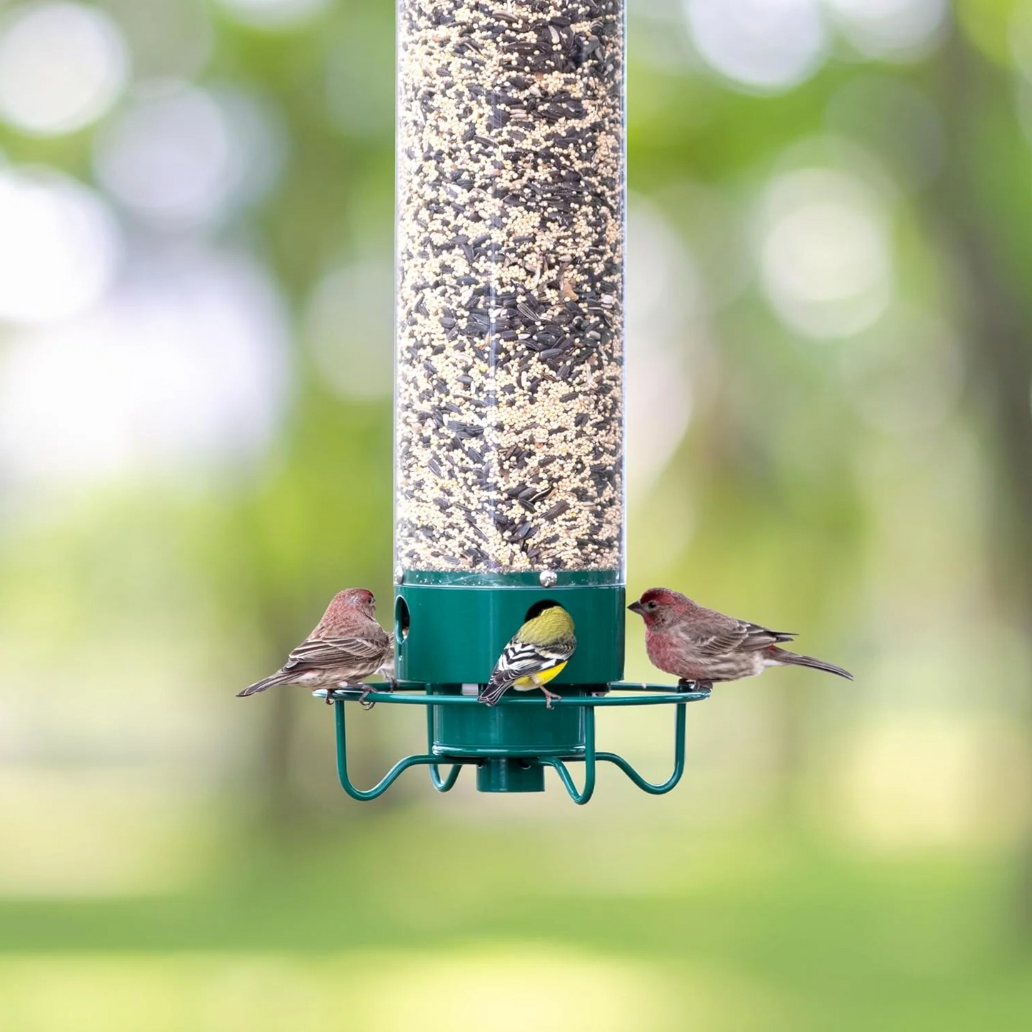 Rotating Perch Bird Feeder with Spinning Weight-Activated Gate and 5lb Capacity
