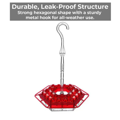 Hummingbird Feeder with Water Ant Moat and Bee-Resistant Ports, 12oz Capacity