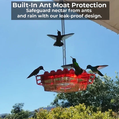 Hummingbird Feeder with Water Ant Moat and Bee-Resistant Ports, 12oz Capacity
